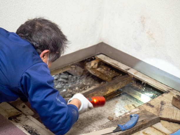 Best Crawl Space Mold Removal  in Oxnard, CA