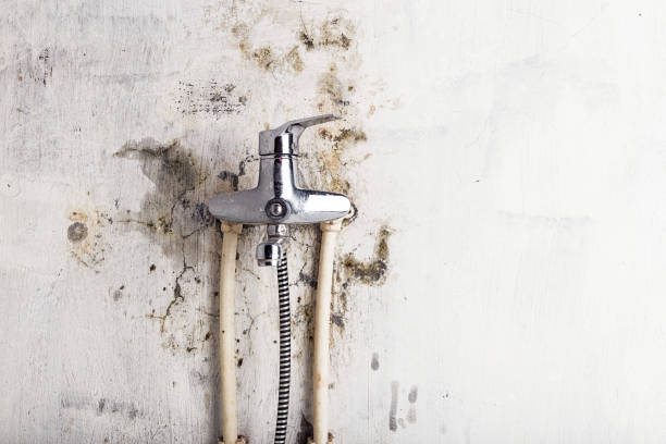 Best Certified Mold Removal  in Oxnard, CA