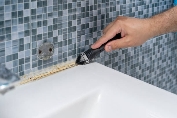 Best Local Mold Removal Service  in Oxnard, CA